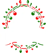 Christmas Lighting Atlanta